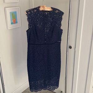 Bardot lace sheath dress US size 12/XL navy